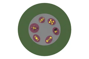 FSET-01