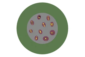 FSET-03